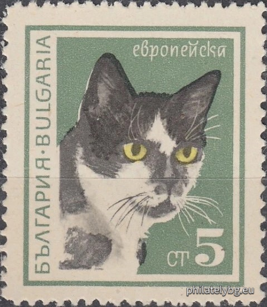 27.05.1967 - „ Котки . “ - шест пощенски марки.