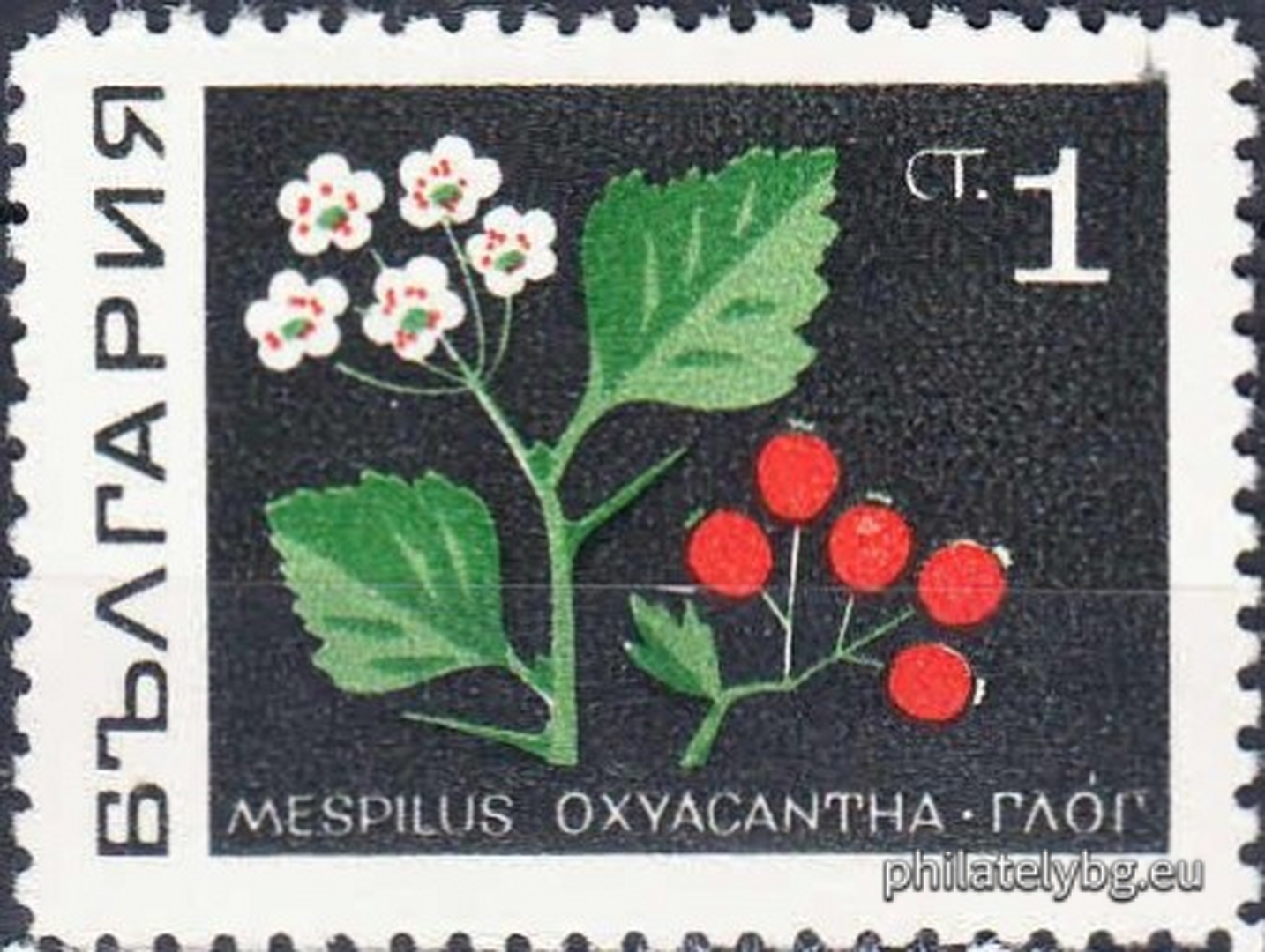 02.01.1969 - „ Билки . “ - осем пощенски марки.