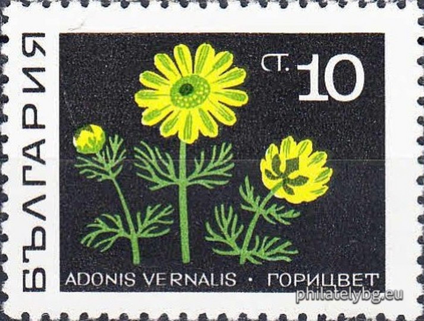 02.01.1969 - „ Билки . “ - осем пощенски марки.
