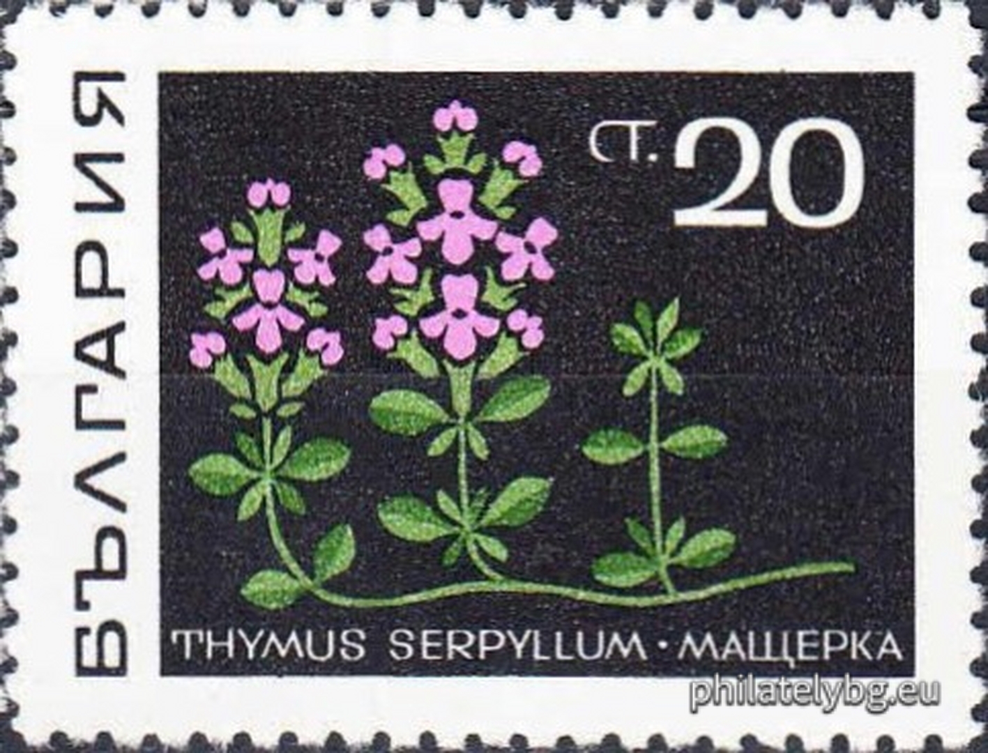 02.01.1969 - „ Билки . “ - осем пощенски марки.