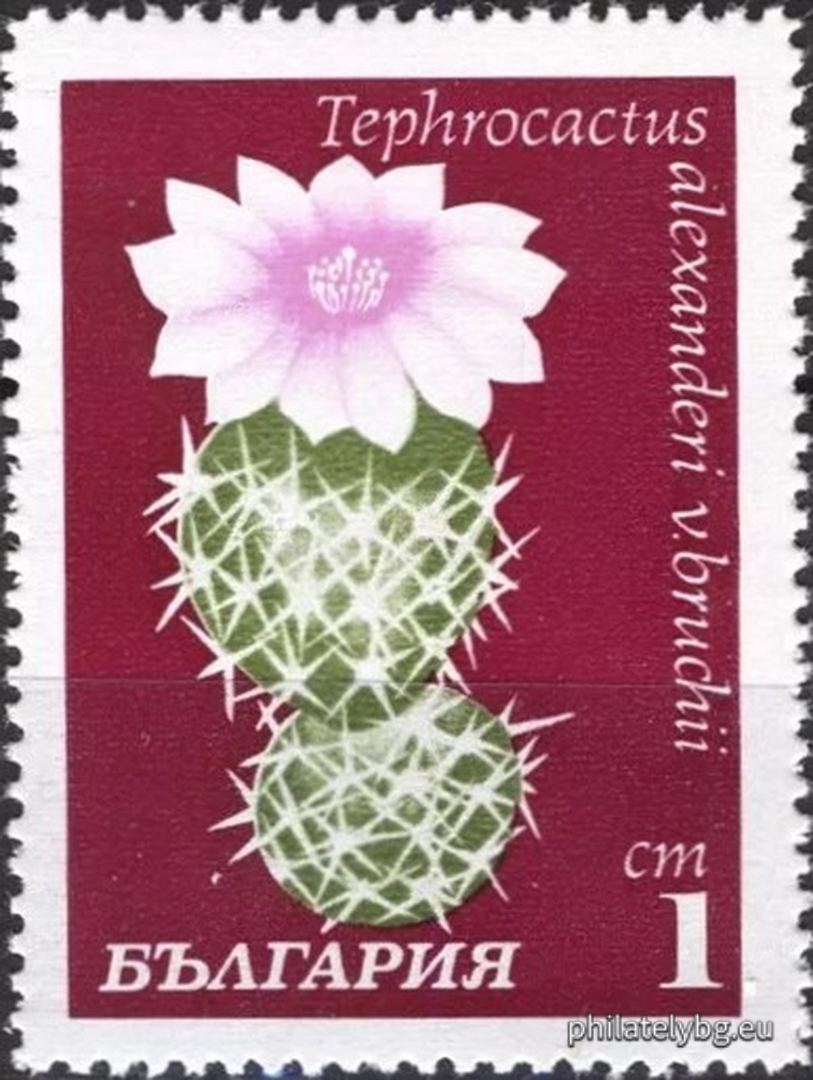 30.04.1970 - „ Кактуси . “ - осем пощенски марки.