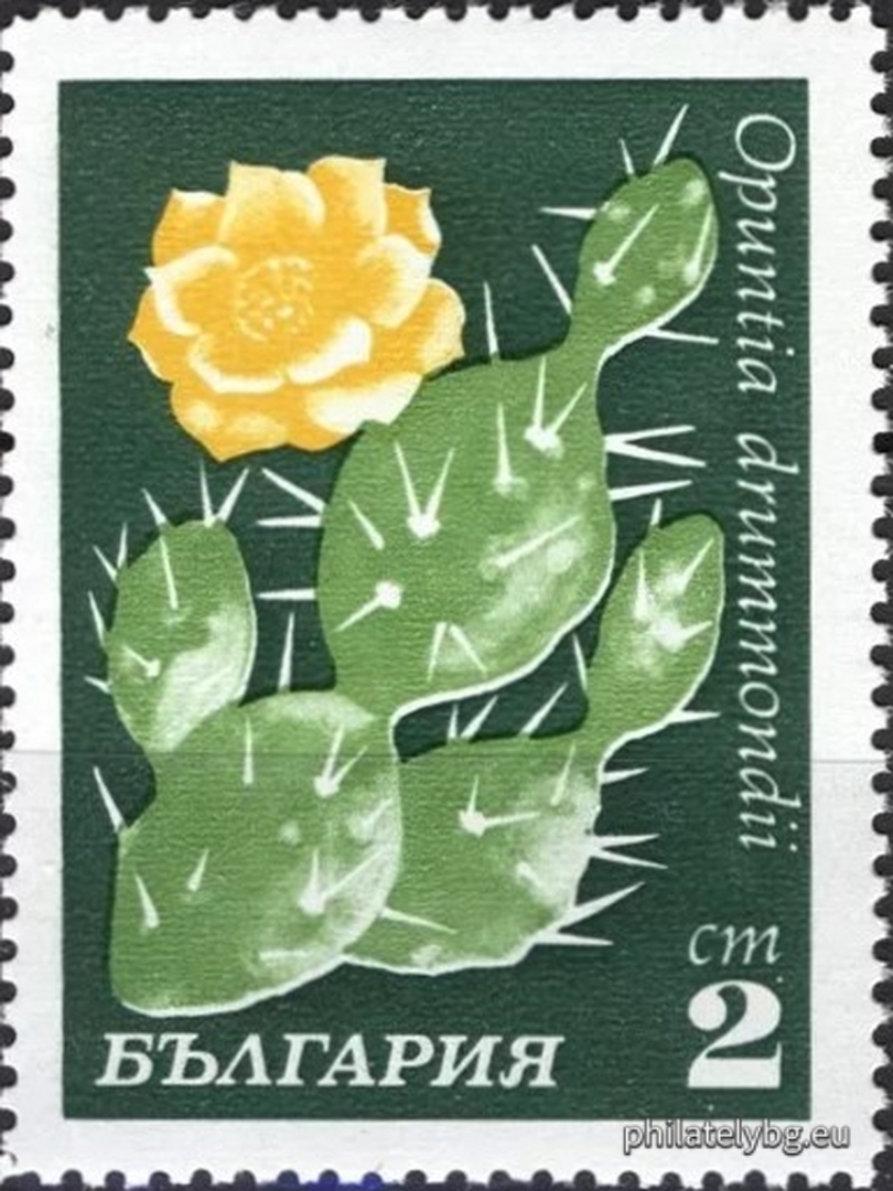 30.04.1970 - „ Кактуси . “ - осем пощенски марки.