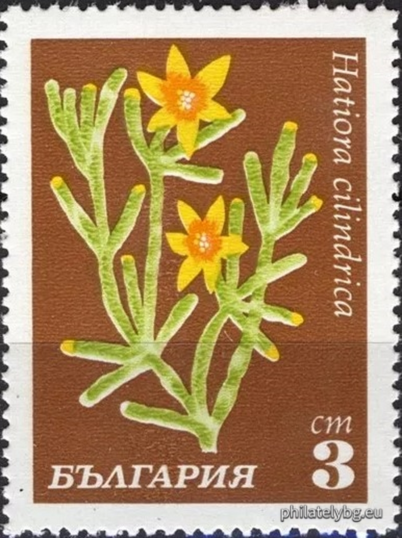 30.04.1970 - „ Кактуси . “ - осем пощенски марки.