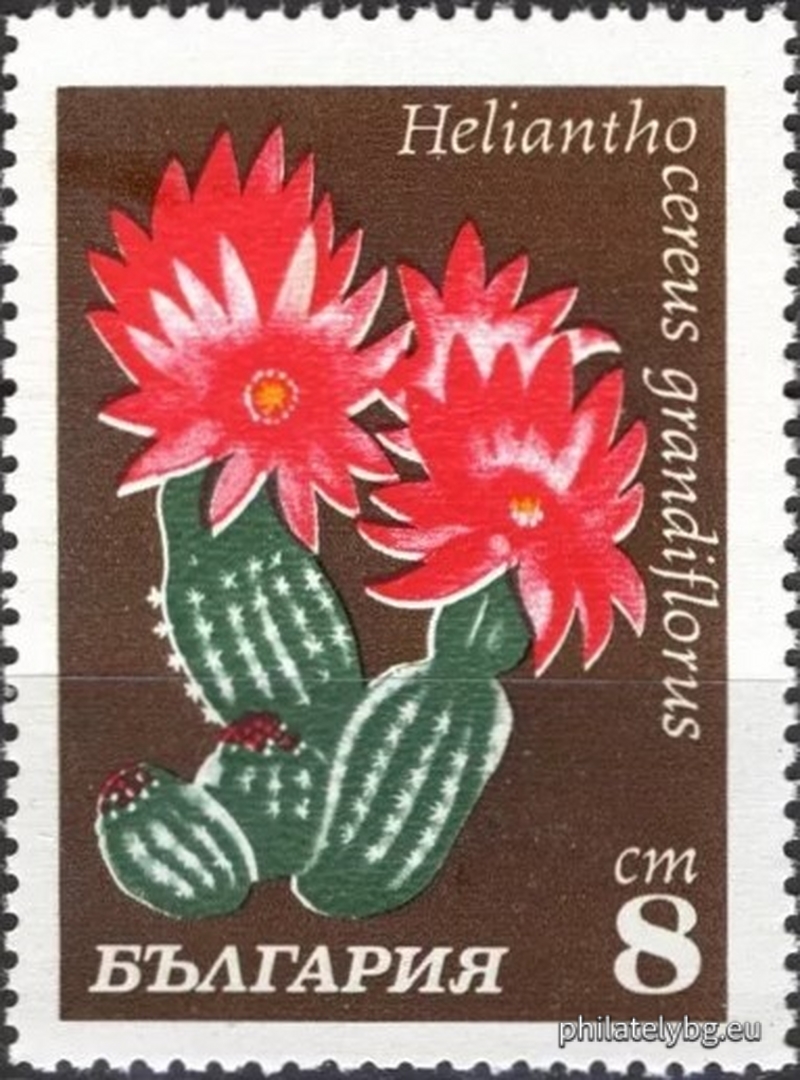 30.04.1970 - „ Кактуси . “ - осем пощенски марки.
