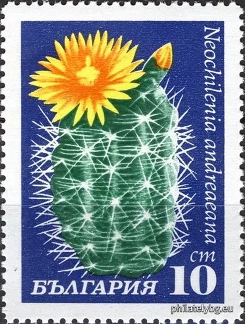 30.04.1970 - „ Кактуси . “ - осем пощенски марки.