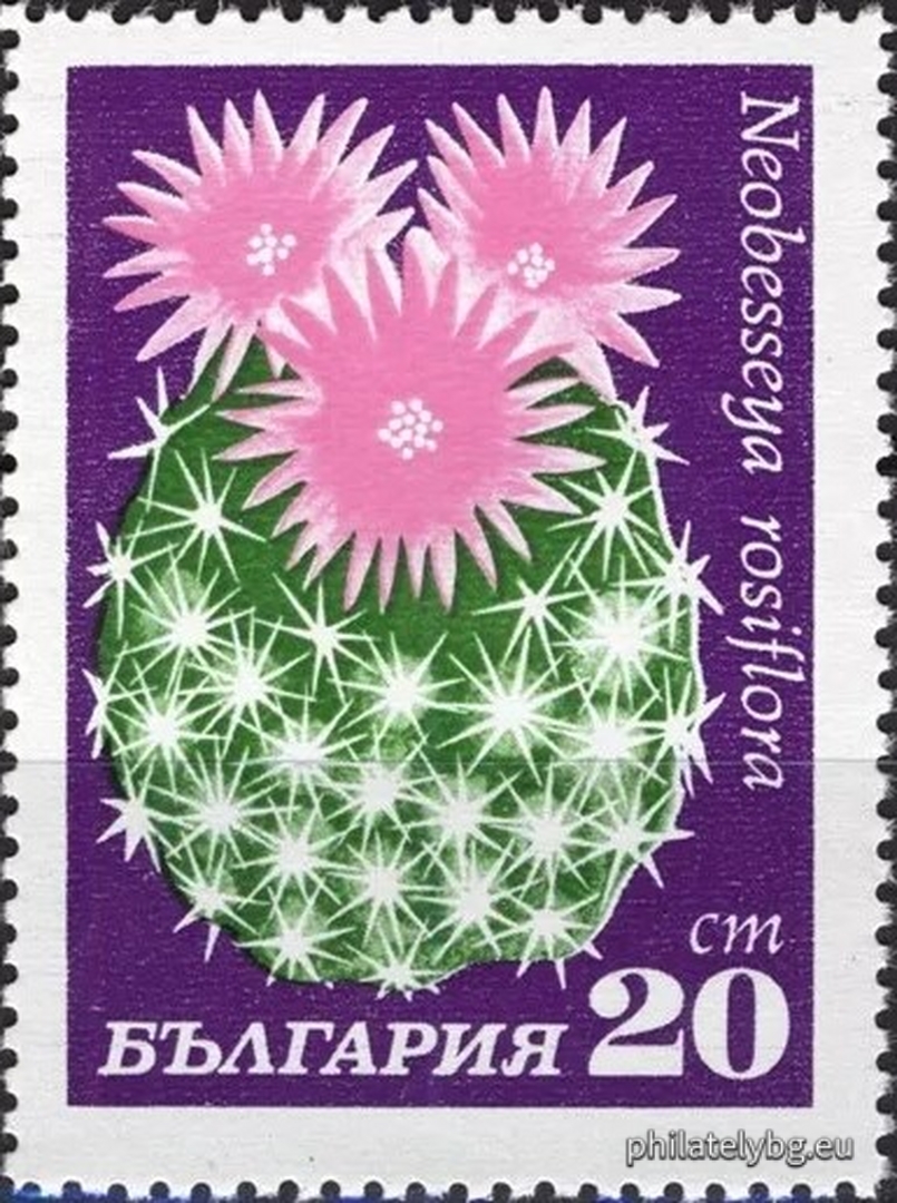 30.04.1970 - „ Кактуси . “ - осем пощенски марки.