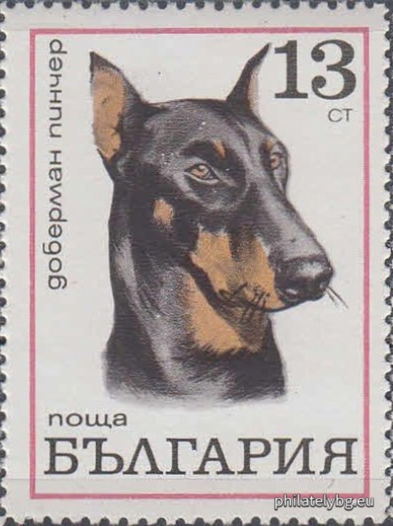 10.08.1970 - „ Кучета . “ - осем пощенски марки.