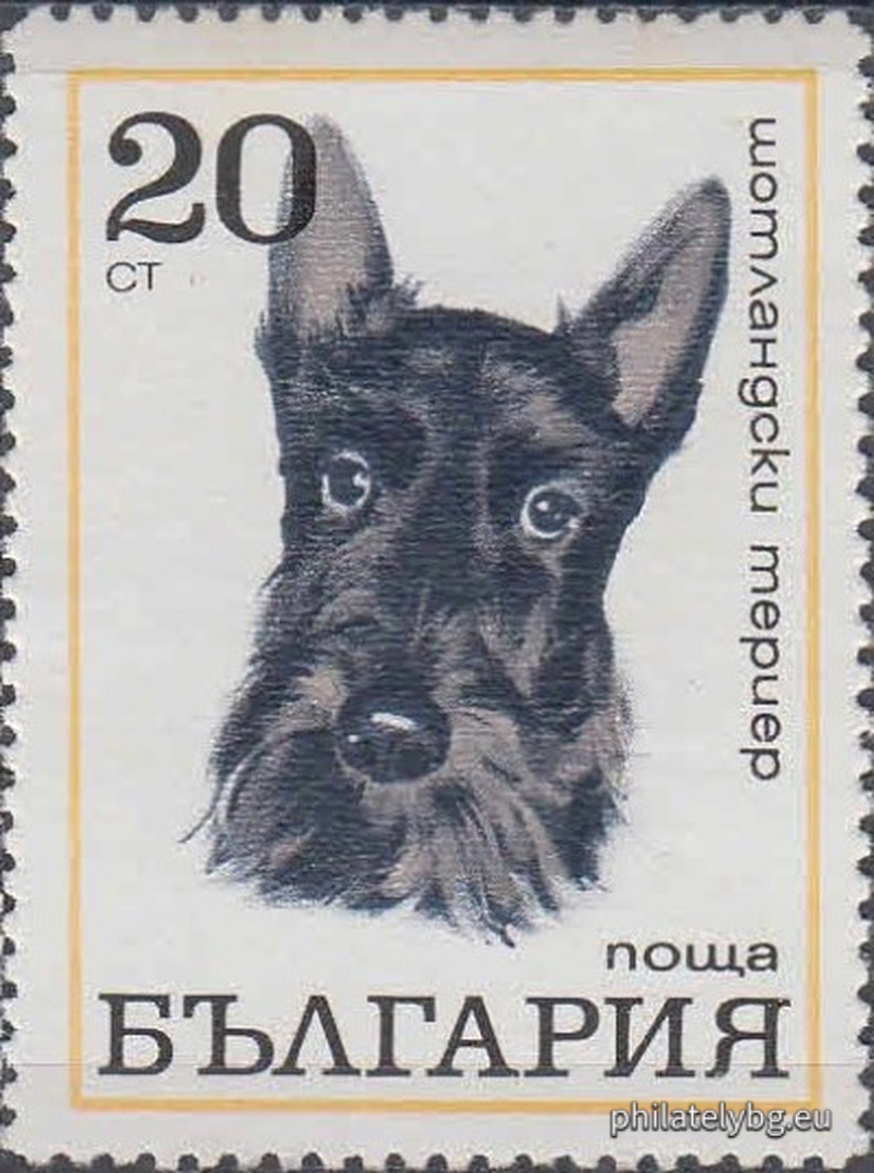 10.08.1970 - „ Кучета . “ - осем пощенски марки.