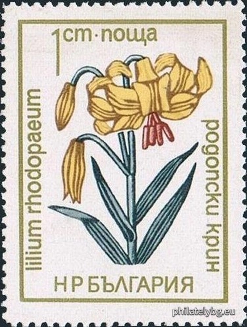 25.11.1972 - „ Флора . “ - седем пощенски марки.