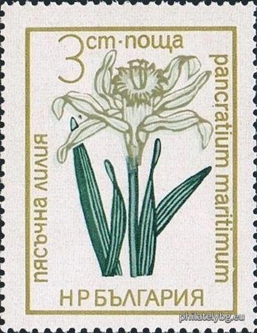 25.11.1972 - „ Флора . “ - седем пощенски марки.