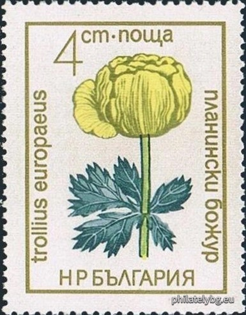 25.11.1972 - „ Флора . “ - седем пощенски марки.