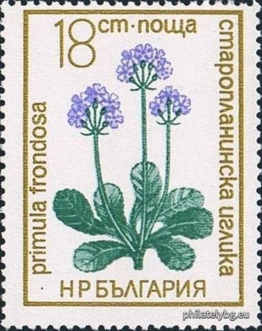 25.11.1972 - „ Флора . “ - седем пощенски марки.