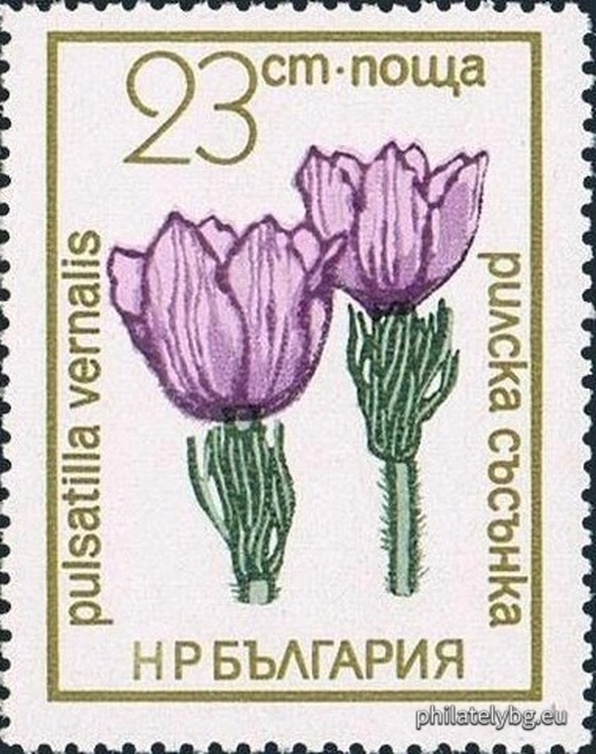 25.11.1972 - „ Флора . “ - седем пощенски марки.