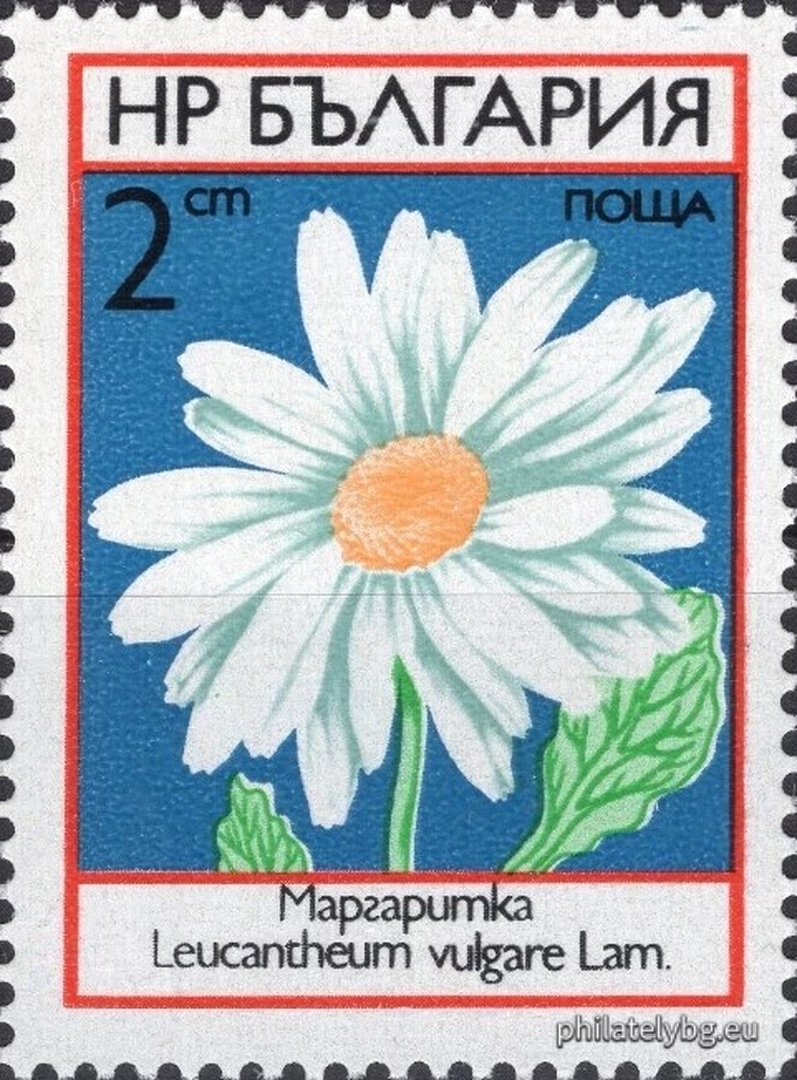 15.05.1973 - „ Полски цветя . “ - шест пощенски марки.