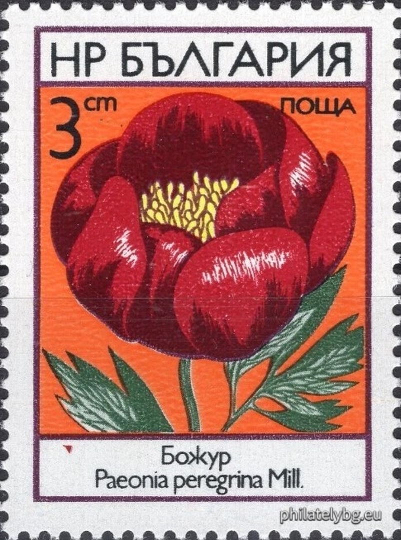 15.05.1973 - „ Полски цветя . “ - шест пощенски марки.