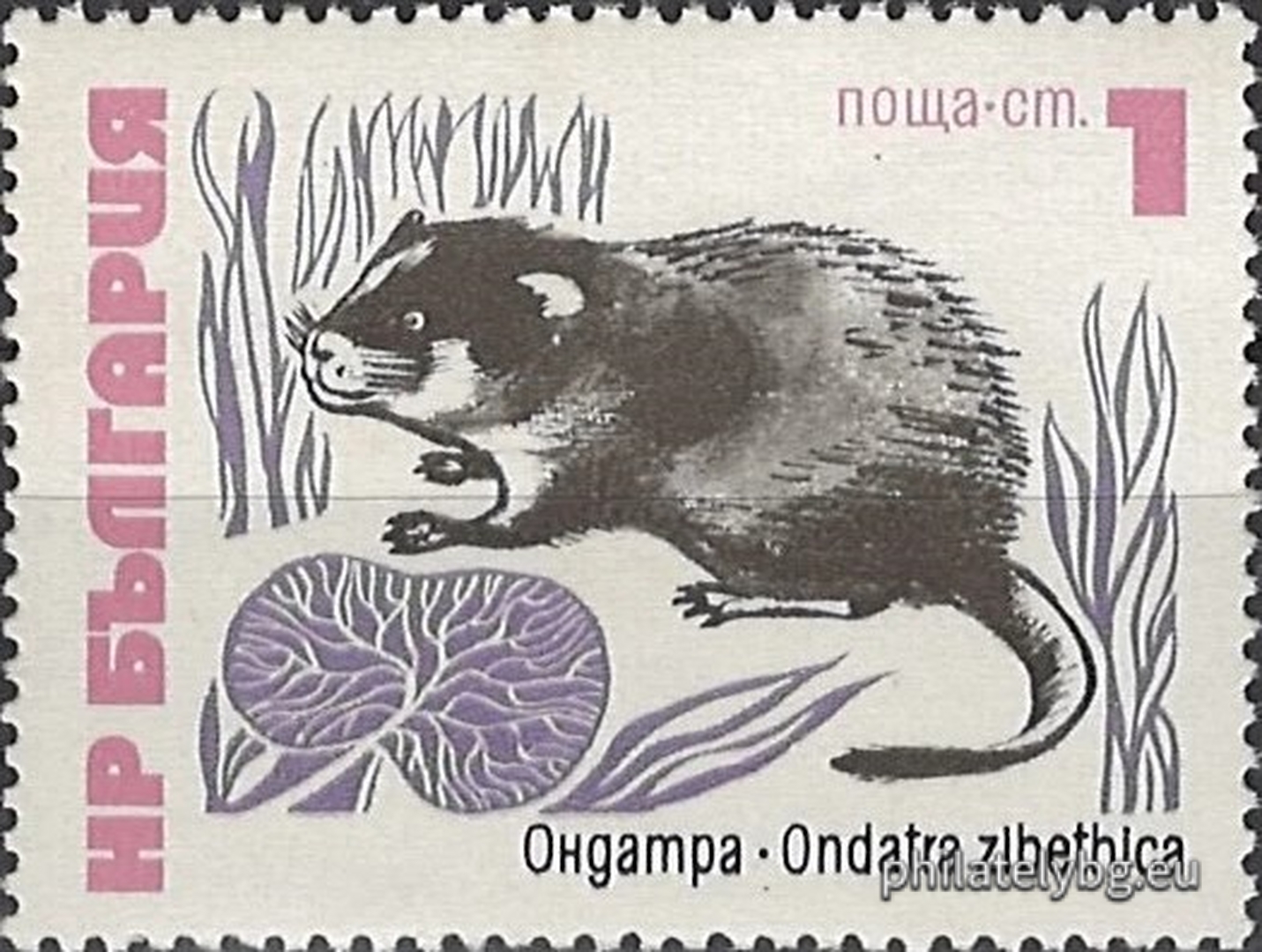 29.06.1973 - „ Редки бозайници в България . “ - шест пощенски марки.