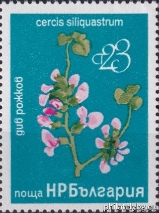 14.10.1976 - „ Редки дървета и храсти . “ - шест пощенски марки.