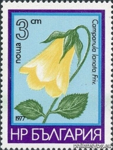 02.03.1977 - „Планински цветя ( семейство “ Камбанкови ”). “ - пет пощенски марки.