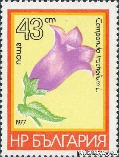 02.03.1977 - „Планински цветя ( семейство “ Камбанкови ”). “ - пет пощенски марки.