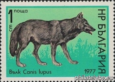 16.05.1977 - „ Хищни бозайници . “ - пет пощенски марки.