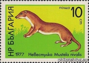 16.05.1977 - „ Хищни бозайници . “ - пет пощенски марки.