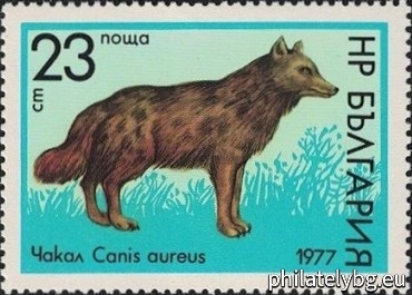 16.05.1977 - „ Хищни бозайници . “ - пет пощенски марки.