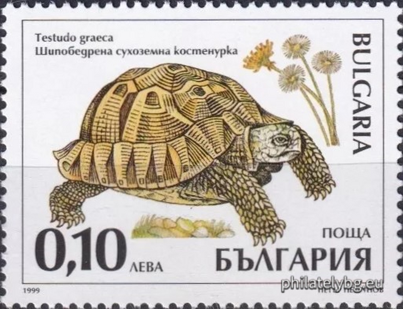08.10.1999 - „ Защитени животни в България - костенурки . “ - четири пощенски марки.