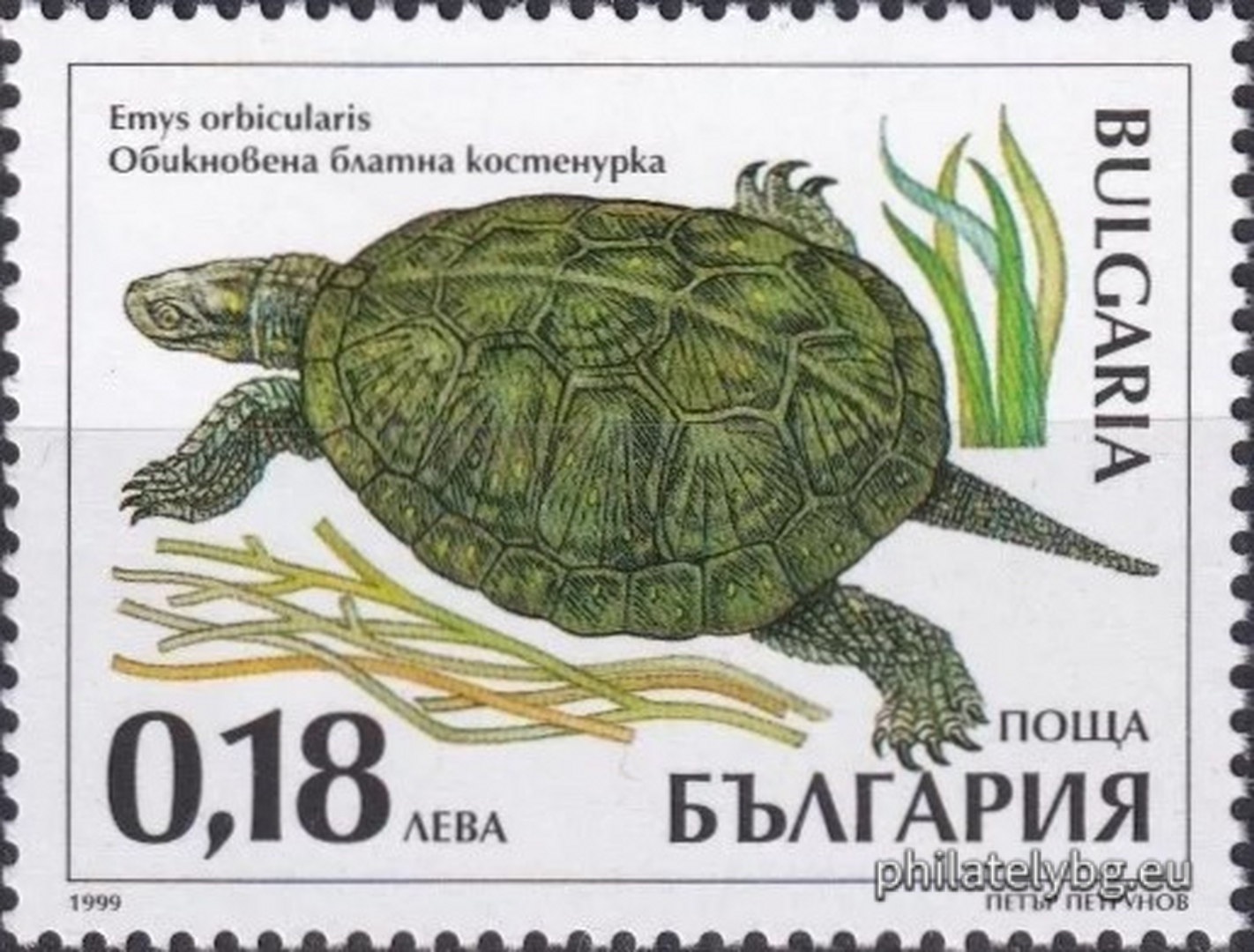 08.10.1999 - „ Защитени животни в България - костенурки . “ - четири пощенски марки.