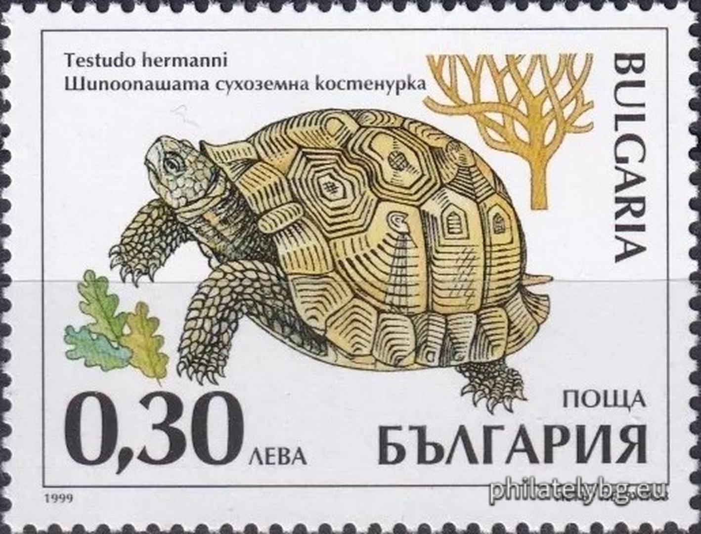 08.10.1999 - „ Защитени животни в България - костенурки . “ - четири пощенски марки.