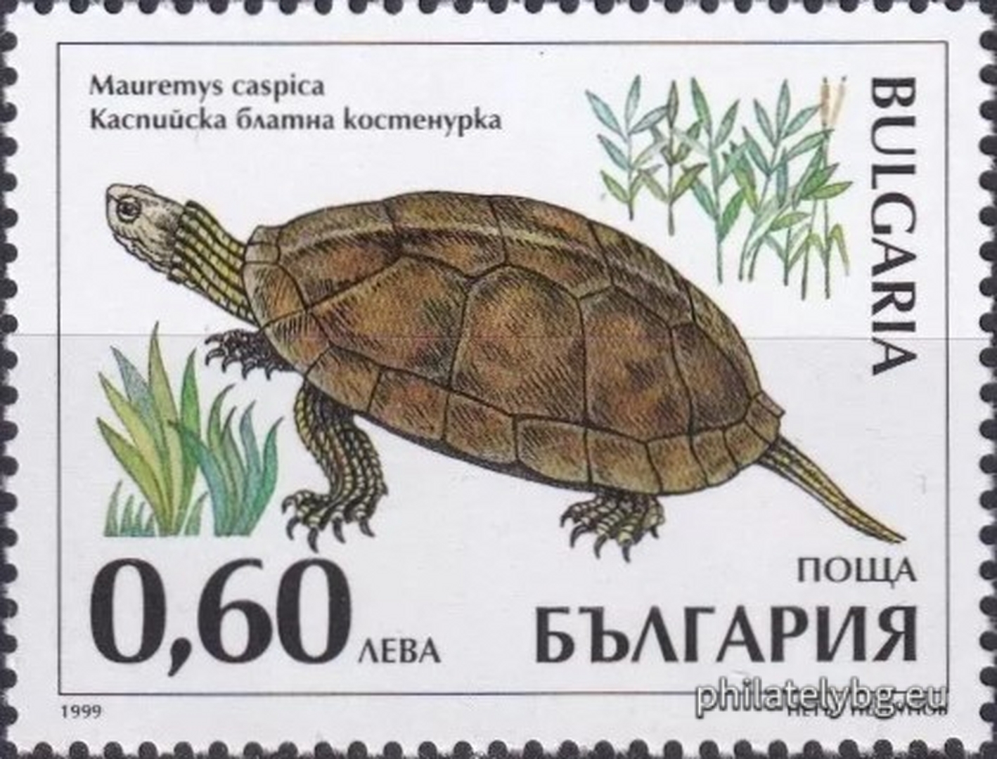 08.10.1999 - „ Защитени животни в България - костенурки . “ - четири пощенски марки.