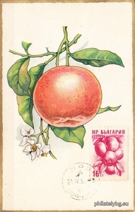 БК 1056