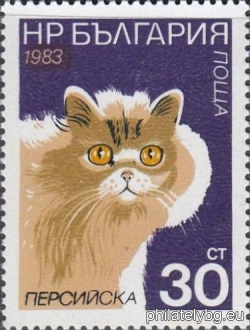 БК 3254