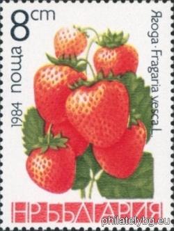 БК 3304