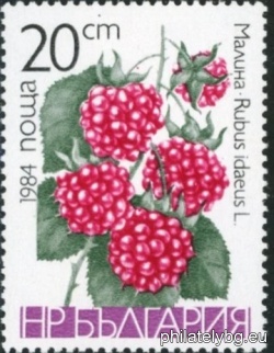 БК 3306