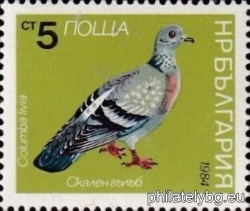 БК 3315