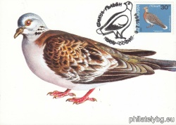 БК 3317