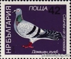 БК 3319