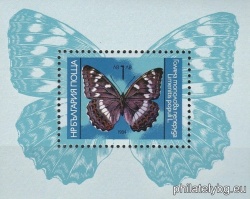 БК 3363