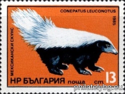 БК 3373