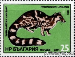 БК 3374