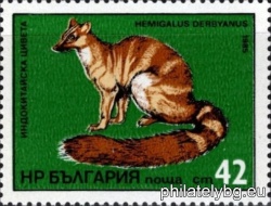 БК 3376