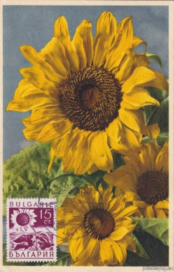 БК 340