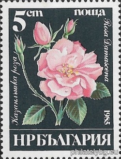 БК 3414