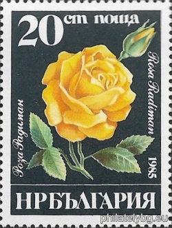 БК 3416