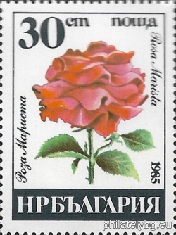 БК 3417