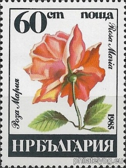 БК 3419