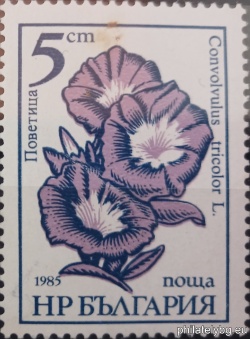 БК 3443A