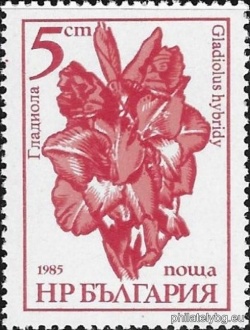 БК 3444