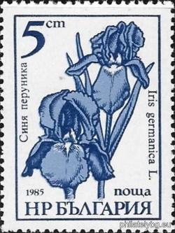 БК 3445