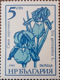 БК 3445A